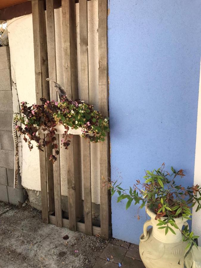 אנגן Ferienwohnung Auf Der Blue Ranch מראה חיצוני תמונה