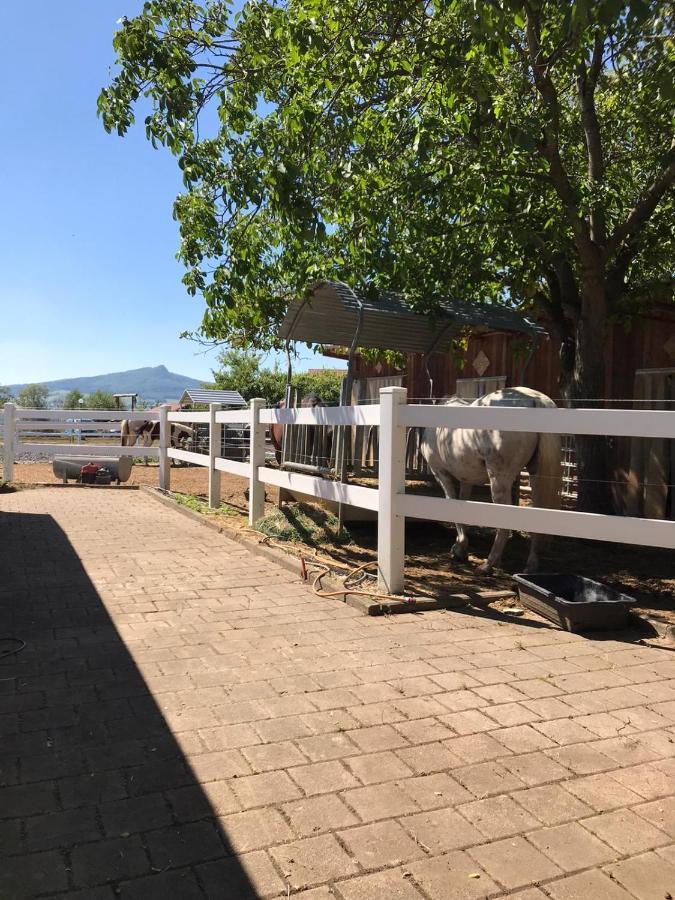 אנגן Ferienwohnung Auf Der Blue Ranch מראה חיצוני תמונה